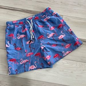Boys Flamingo Swim Trunks 🦩
